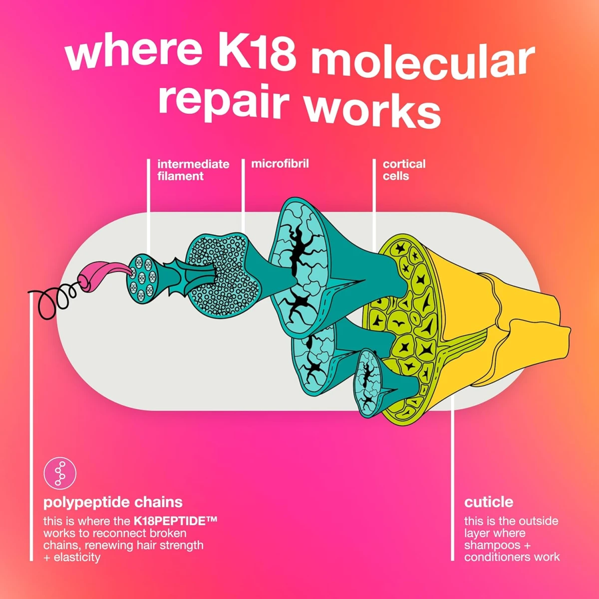 819q8D-jLSL._AC_SL1500_.jpg